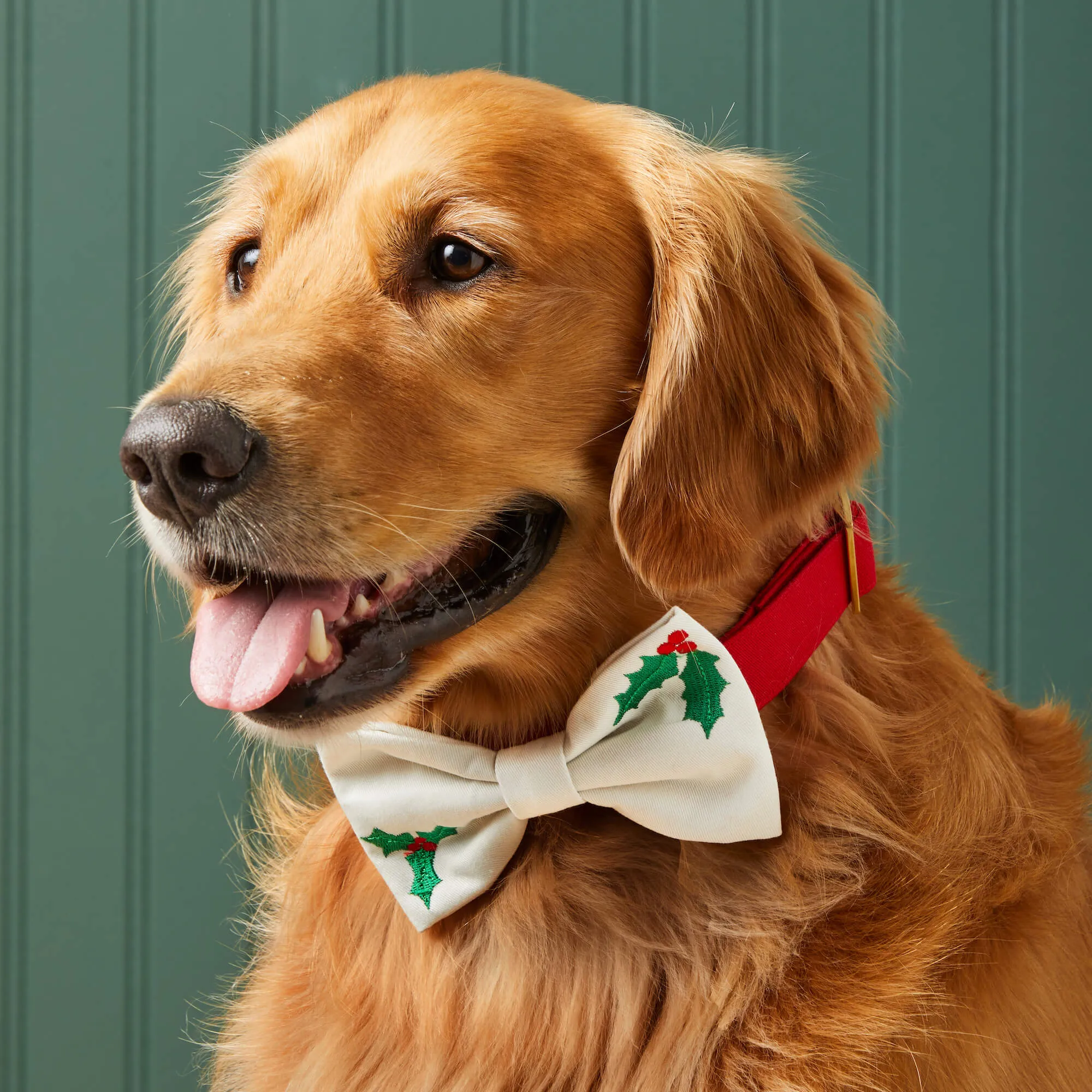 Holly Embroidered Dog Bow Tie