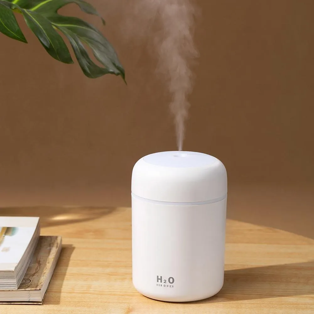 Portable Mini Cool Mist Air Humidifier/Diffuser